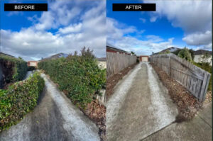 tree service geelong